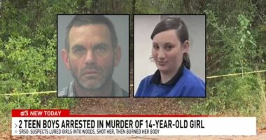 Third arrest made after 14-year-old found dead in the woods