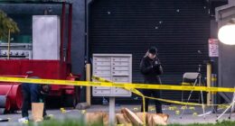 Three children among four dead after mass-shooting at birthday party