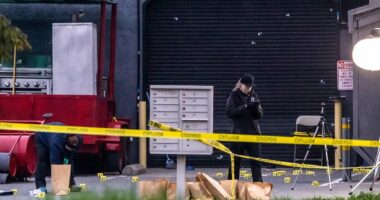 Three children among four dead after mass-shooting at birthday party