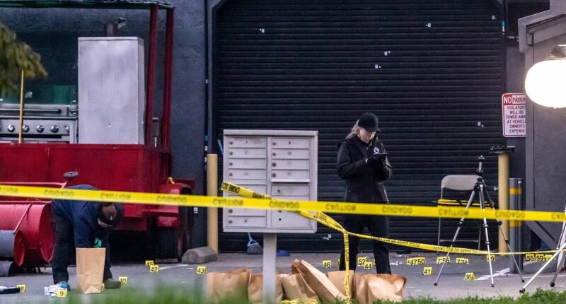 Three children among four dead after mass-shooting at birthday party