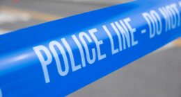 Toddler fatally struck by pickup truck driver in Long Island driveway