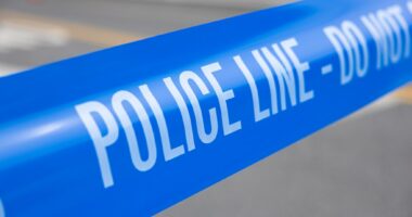 Toddler fatally struck by pickup truck driver in Long Island driveway