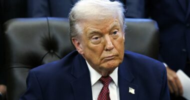 Top Trump cheerleaders warn 'totally corrupt' pardons could take down his presidency