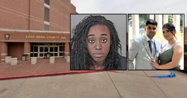 'Traveling southbound in the northbound lanes': Intoxicated woman drove down wrong side of major highway and crashed into young family of 4, deputies say