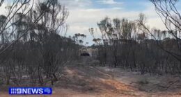 Tributes flow for much-loved farmer killed fighting WA bushfire