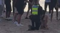 Trio of teenagers charged over alleged Melbourne beach brawl