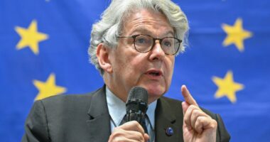 Trump administration bans five people from the US over online content moderation