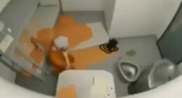 Trump administration deletes video recreating Epstein's suicide