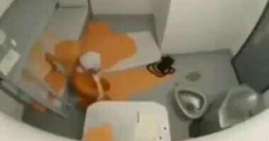 Trump administration deletes video recreating Epstein's suicide