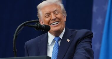 Trump approves TINY CARS: 'They're really cute'