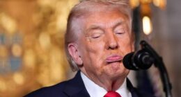 Trump bemoans destroyed reputations from Epstein files