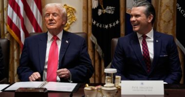 Trump describes America's affordability crisis as a 'SCAM': 'I am right about everything'