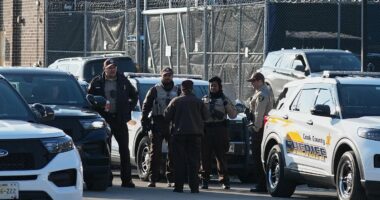 Trump-friendly Supreme Court turns on president