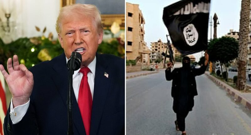 Trump launches massive airstrikes in Syria as 'vengeance'