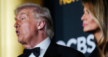 Trump says Netflix deal to buy Warner Bros. 'could be a problem' because of size of market share