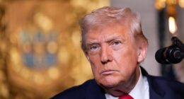 Trump says US launched ‘powerful and deadly’ strike against Islamic State targets in Nigeria