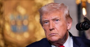 Trump says US launched ‘powerful and deadly’ strike against Islamic State targets in Nigeria