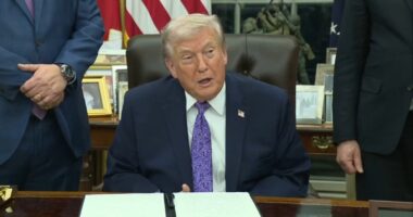 Trump signs executive order blocking states from enforcing their own regulations around AI