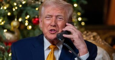 President Donald Trump speaks during a NORAD, North American Aerospace Defense Command, Tracks Santa Operation call at his Mar-a-Lago club.