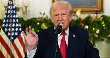 Trump's frustration with the Epstein Files is clear