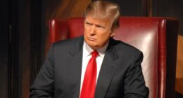 Trump's real-life apprentice aims to Make America Skilled Again