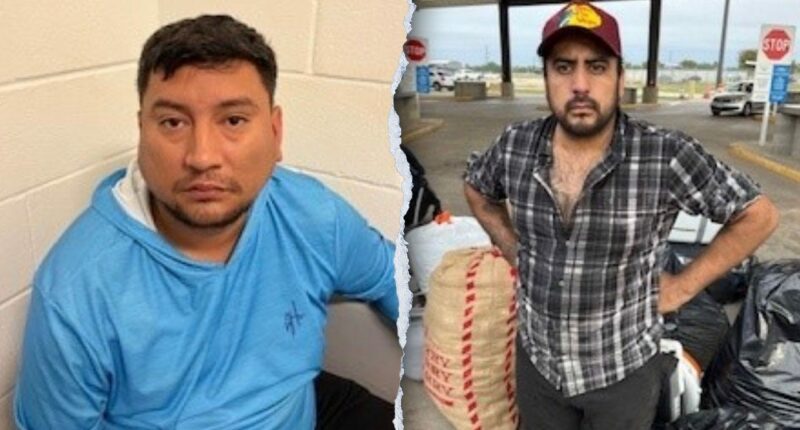 Two arrested after dozens of guns, including 'cop-killer' model, found in spare tire at southern border: DPS