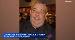 Tynesha McCarty-Wroten charged with killing pedestrian Darren Lucas in Zion, was allegedly livestreaming on TikTok while driving