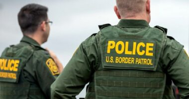 US Border Patrol agent kills suspected cartel smuggler after 'struggle' near Texas riverbank