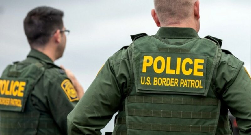 US Border Patrol agent kills suspected cartel smuggler after 'struggle' near Texas riverbank