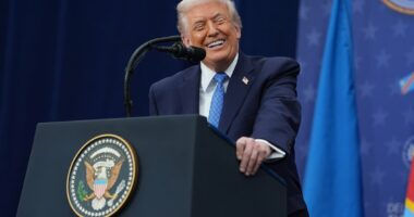 US Institute of Peace renamed after Trump