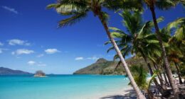 Hamilton Island is set to change hands.