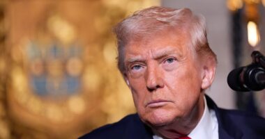 US launches deadly strike on ISIS targets in Nigeria after group targeted Christians, President Trump says