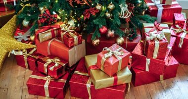 If you want to ensure your presents make it in time to open on Christmas morning, the USPS has shared the vital deadline you must place your orders by (stock image)