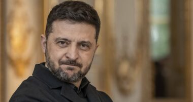 Ukraine puts land swaps and elections on the table for Putin meeting