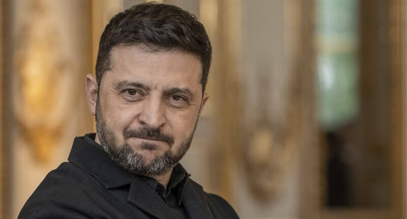 Ukraine puts land swaps and elections on the table for Putin meeting