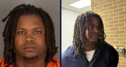 'Unresponsive and gasping': Man nearly beats girlfriend's toddler daughter to death, says girl's horrific injuries were 'allergic reaction,' cops say