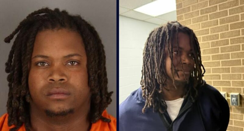 'Unresponsive and gasping': Man nearly beats girlfriend's toddler daughter to death, says girl's horrific injuries were 'allergic reaction,' cops say