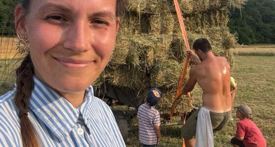 Up to 1m Romanians propped up UK's economy - now they are going home