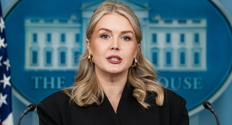 Vanity Fair photographer breaks silence on Karoline Leavitt close-up