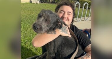 'Very alarming': Man partially paralyzed after Murray Hill shooting, advocates call it a hate crime