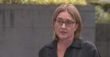 Victorian Premier reveals husband charged with drink driving after fender bender