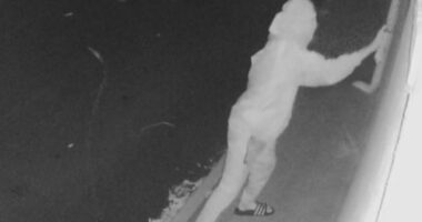 The vision shows a masked figure running towards the Bald Hills Mosque and committing the vile act late on Wednesday night.
