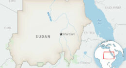 WHO says 114 people were killed, including 63 children, in last week's drone strikes in Sudan