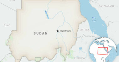 WHO says 114 people were killed, including 63 children, in last week's drone strikes in Sudan