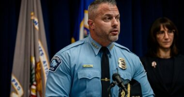 Wait, What? Minneapolis Police Chief Urges Residents to Call 911 on ICE Agents