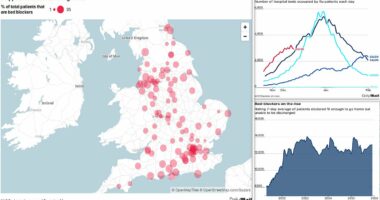 Warning over 'bed-blockers' as NHS teeters on brink of flunami and strike meltdown with up to a THIRD of beds at jam-packed hospitals taken up by patients fit enough to go home... so how busy is YOUR local?