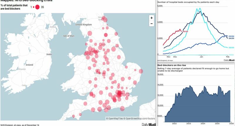 Warning over 'bed-blockers' as NHS teeters on brink of flunami and strike meltdown with up to a THIRD of beds at jam-packed hospitals taken up by patients fit enough to go home... so how busy is YOUR local?