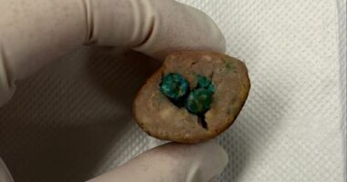 Vets have issued a warning after a dog became sick from eating food laced with poison at a popular park in Sydney's Inner West.