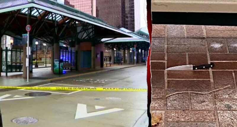 Washington man allegedly lures police with bogus 911 call, slashes officer in face