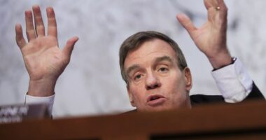 Watch: Democrat Senator Hilariously Own-Goals His Party With Criticism of DOJ Pipe Bomb Case Arrest